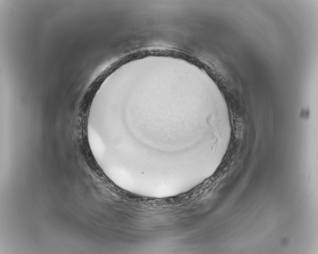 X0000093611208200711121204