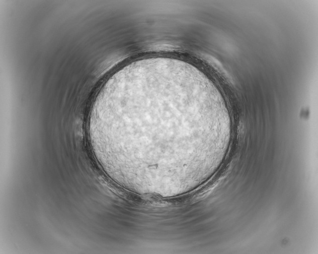 X0000093611209200711121204
