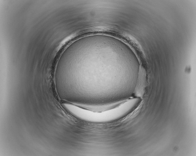 X0000093611210200711121204