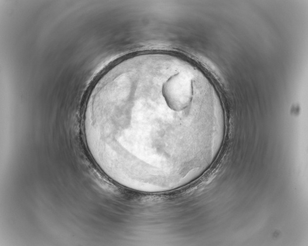 X0000093611212200711121204