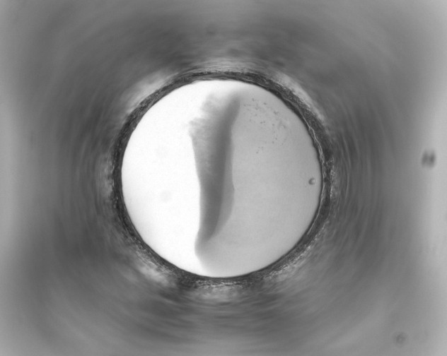 X0000093611213200711121204