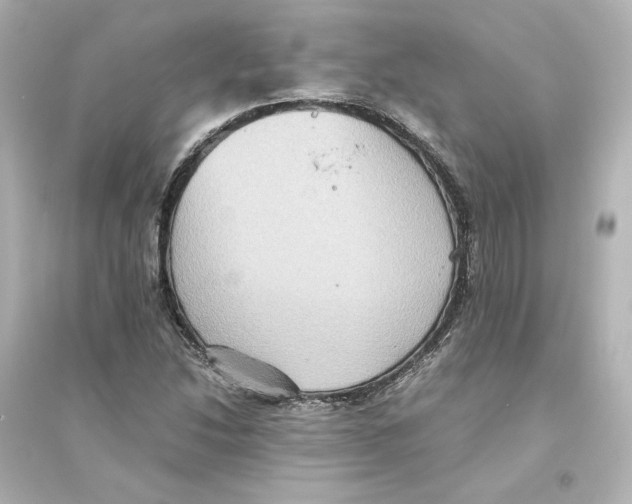 X0000093611214200711121204