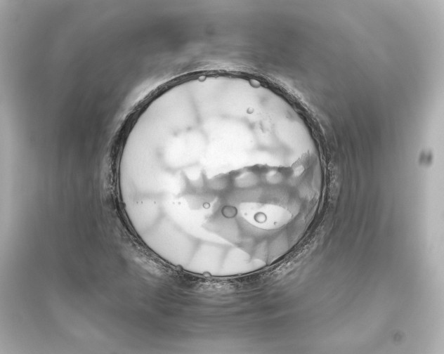 X0000093611215200711121204