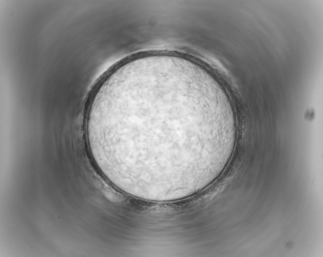 X0000093611216200711121204