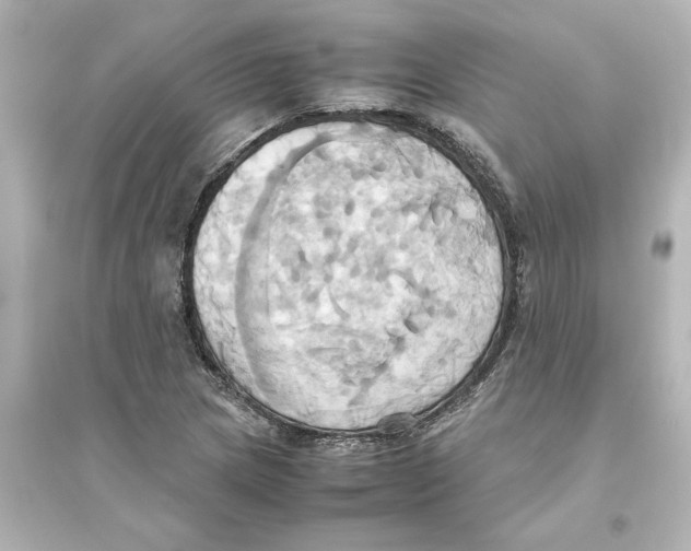 X0000093611217200711121204