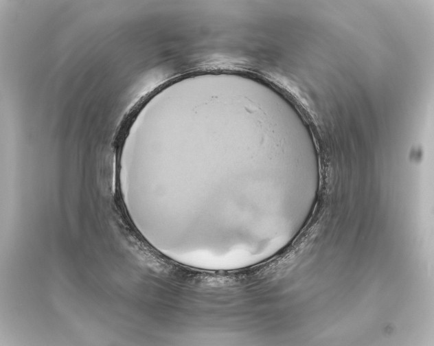 X0000093611219200711121204