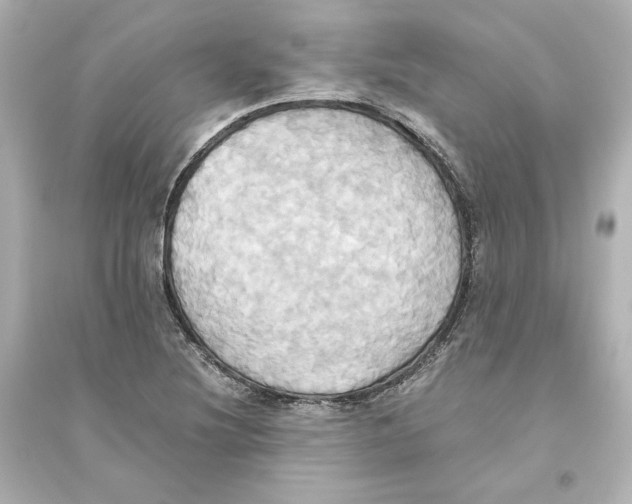 X0000093611220200711121204