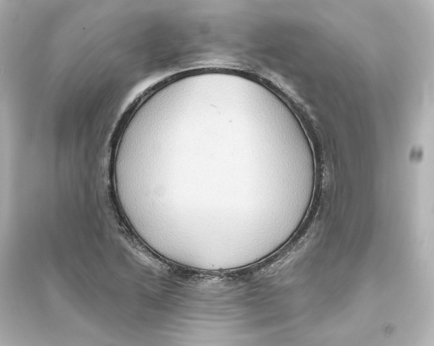 X0000093611222200711121204