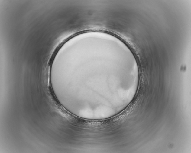 X0000093611223200711121204