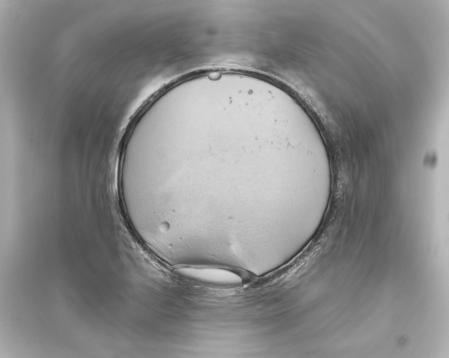 X0000093611224200711121204