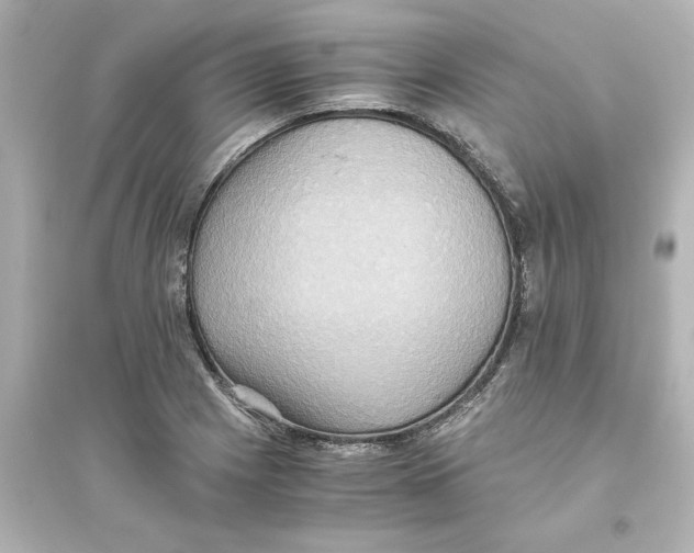 X0000093611225200711121204