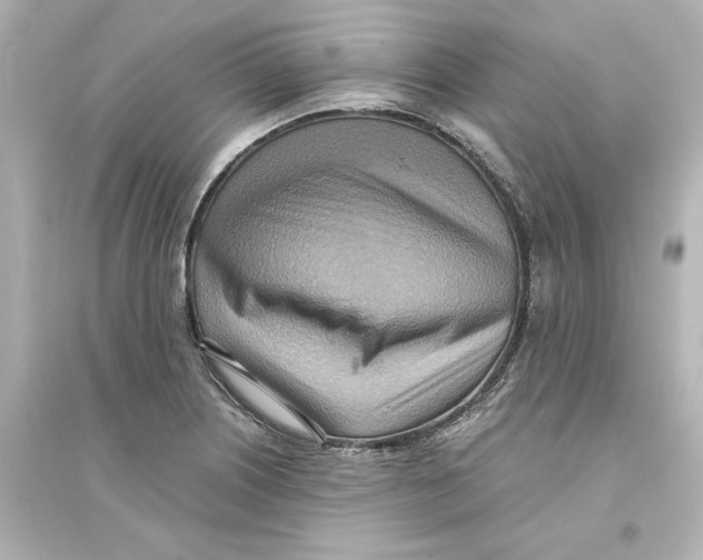 X0000093611226200711121204