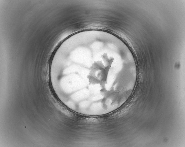 X0000093611227200711121204