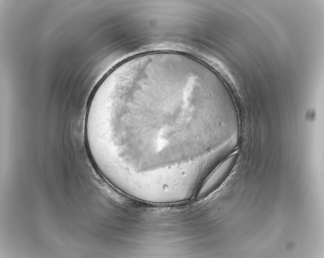 X0000093611228200711121204