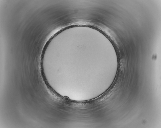 X0000093611229200711121204