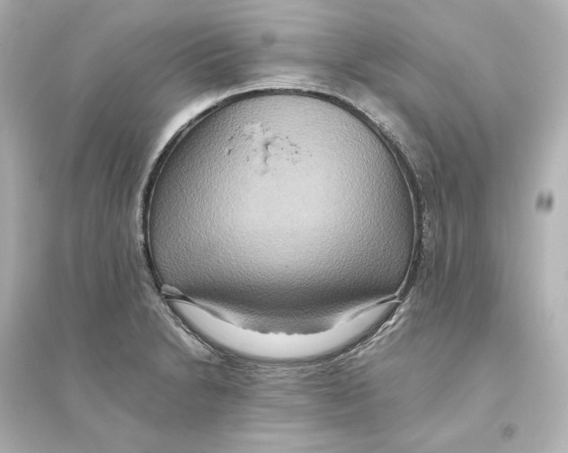 X0000093611230200711121204