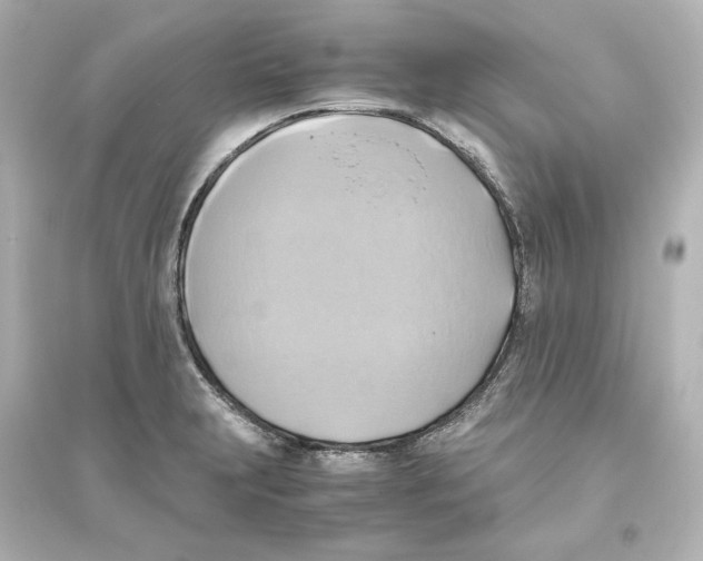 X0000093611231200711121204