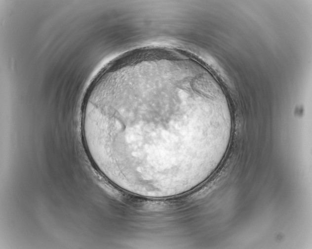 X0000093611232200711121204