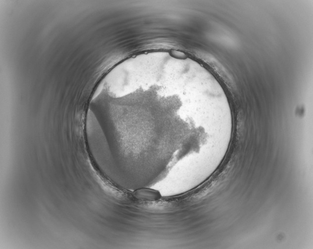X0000093611233200711121204