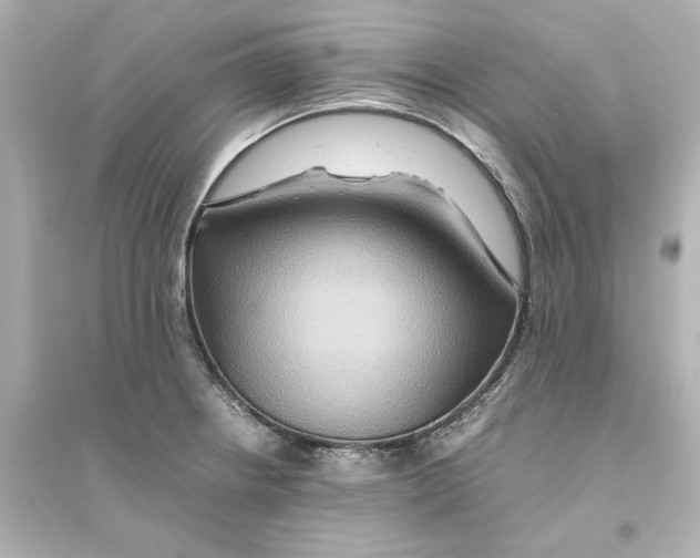 X0000093611234200711121204