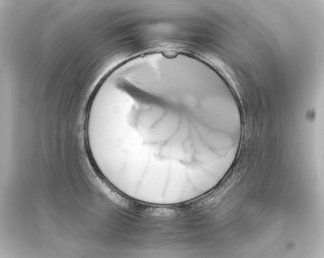 X0000093611235200711121204