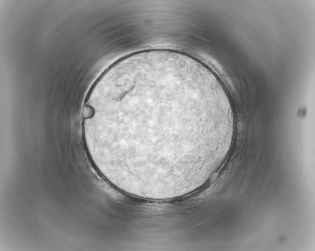 X0000093611236200711121204