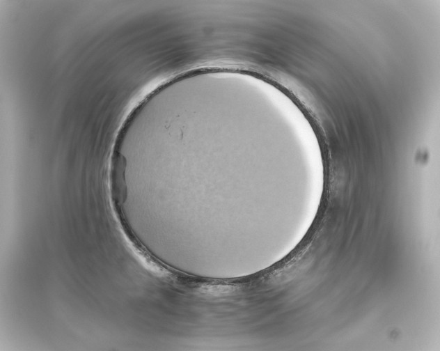 X0000093611237200711121204
