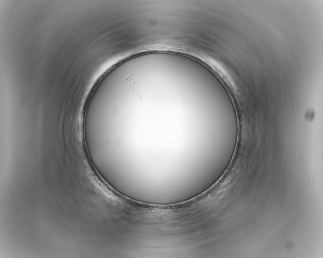 X0000093611238200711121204