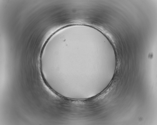 X0000093611239200711121204