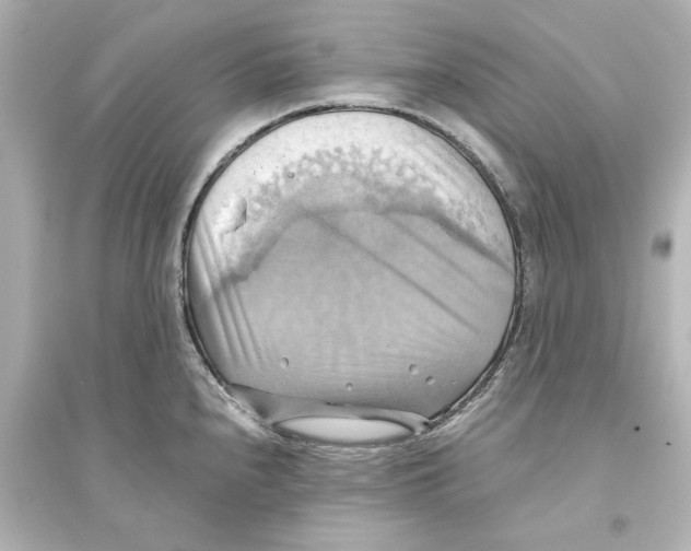 X0000093611240200711121204