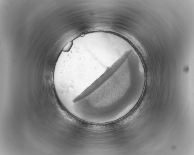 X0000093611241200711121204