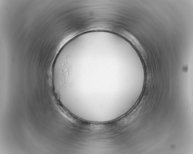 X0000093611242200711121204