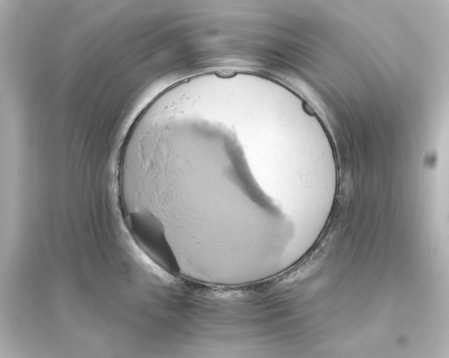 X0000093611243200711121204