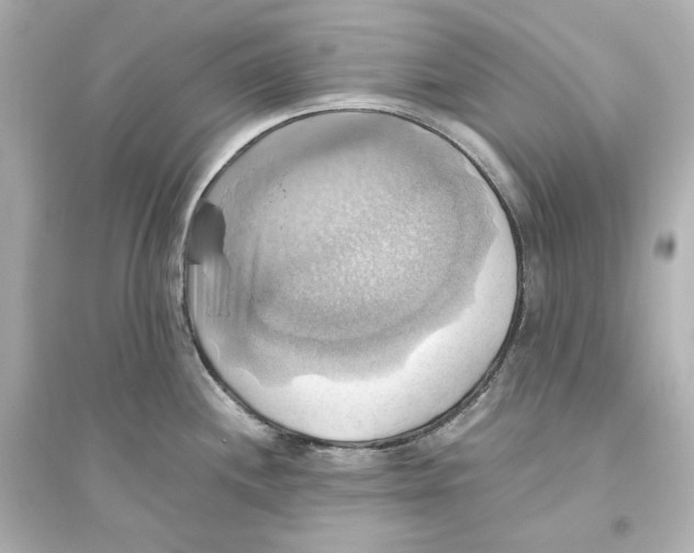 X0000093611244200711121204