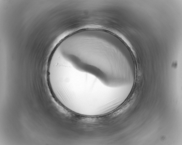 X0000093611245200711121204