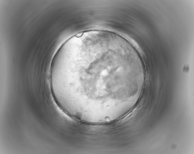 X0000093611247200711121205