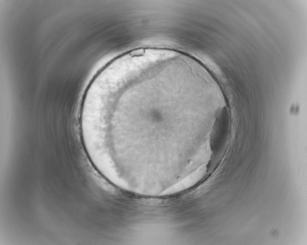 X0000093611248200711121205