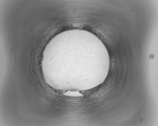 X0000093611249200711121204