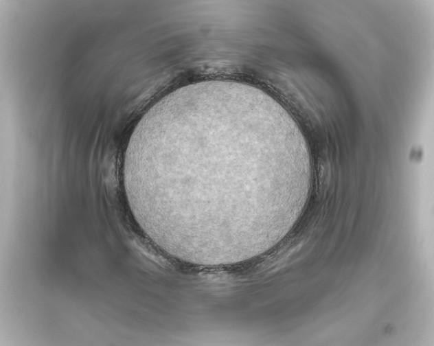 X0000093611250200711121204