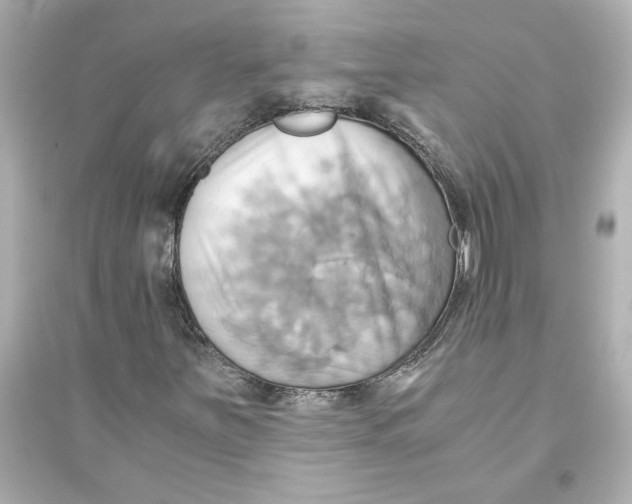 X0000093611251200711121204