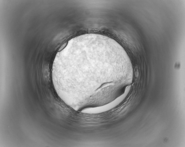 X0000093611252200711121204