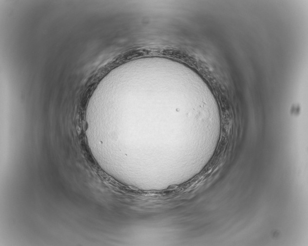 X0000093611253200711121204