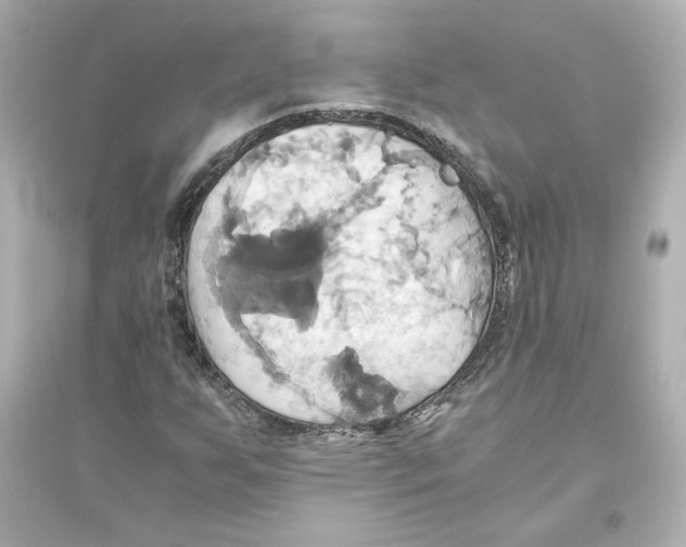 X0000093611255200711121204