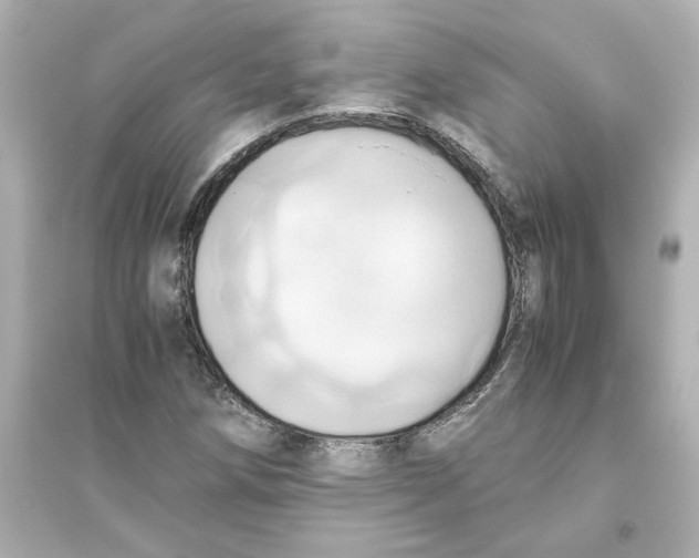 X0000093611258200711121204