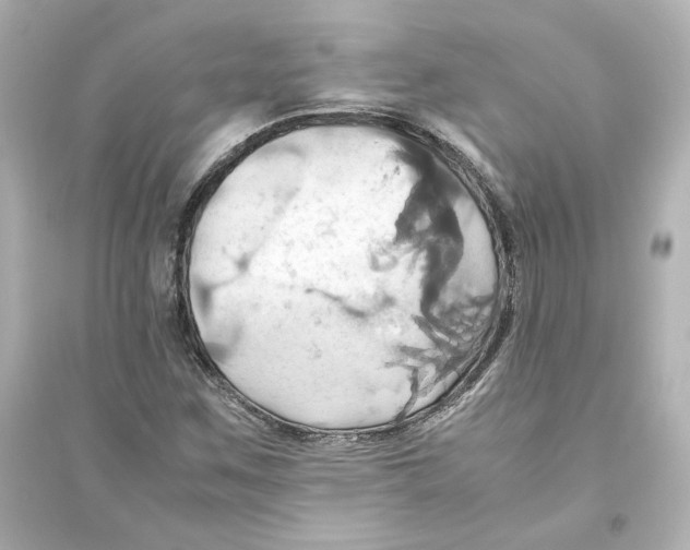 X0000093611259200711121204