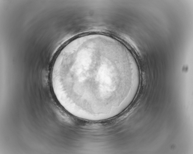 X0000093611260200711121204