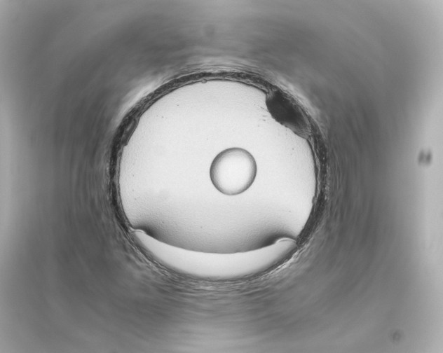 X0000093611261200711121204