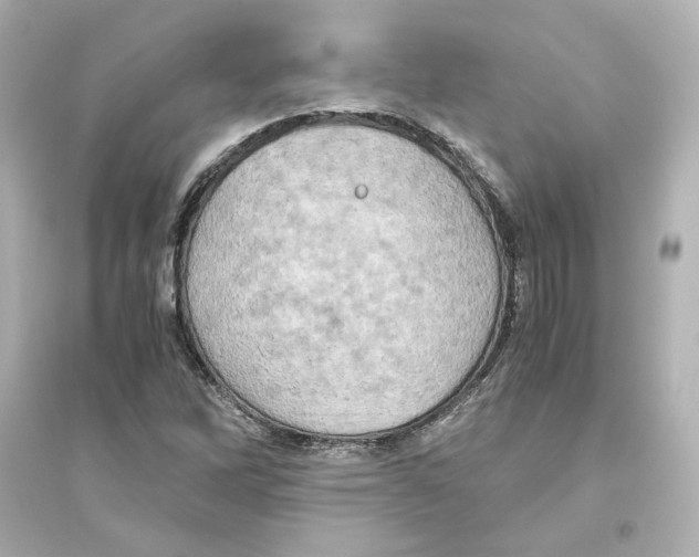 X0000093611262200711121204