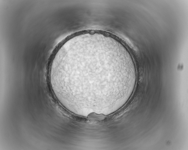 X0000093611264200711121203
