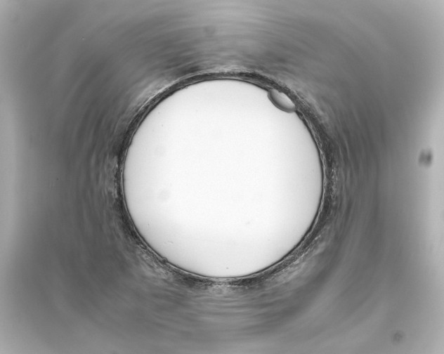 X0000093611265200711121203